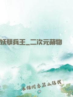 妖孽兵王