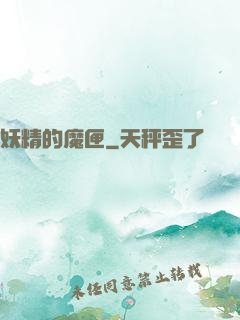 妖精的魔匣