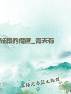 妖精的魔匣