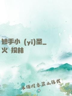 妙手小醫(yī)圣