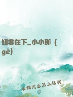 妞非在下