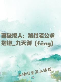 妻色撩人：狼性老公求抱抱