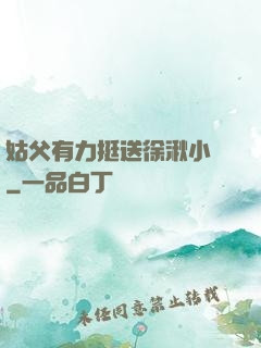 姑父有力挺送徐湫小說