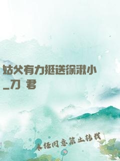 姑父有力挺送徐湫小說