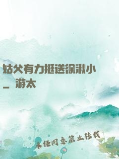 姑父有力挺送徐湫小說