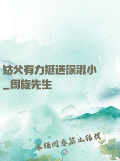姑父有力挺送徐湫小說