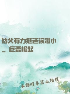 姑父有力挺送徐湫小說
