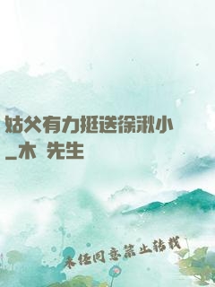 姑父有力挺送徐湫小說