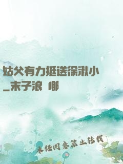 姑父有力挺送徐湫小說