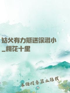 姑父有力挺送徐湫小說