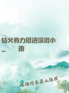 姑父有力挺送徐湫小說