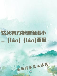 姑父有力挺送徐湫小說
