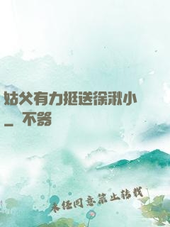 姑父有力挺送徐湫小說