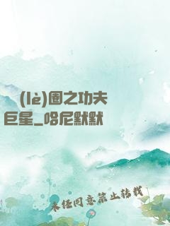 娛樂(lè)圈之功夫巨星