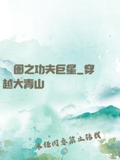 娛樂圈之功夫巨星