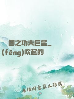 娛樂圈之功夫巨星