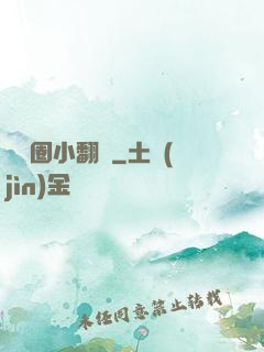 娛樂圈小翻譯