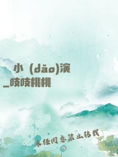 娛樂小導(dǎo)演