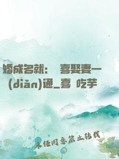 婚成名就：歡喜娶妻一點(diǎn)通