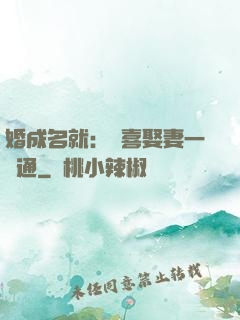 婚成名就：歡喜娶妻一點通