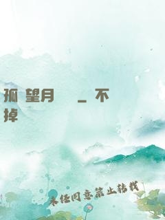 孤樓望月幾時圓