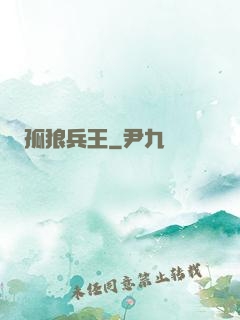 孤狼兵王