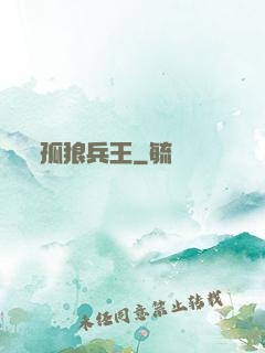 孤狼兵王