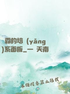學霸的培養(yǎng)系面板