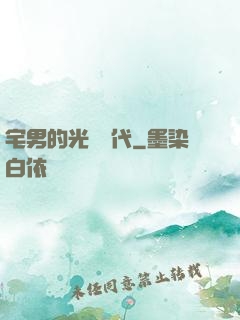 宅男的光輝時代