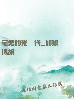 宅男的光輝時代