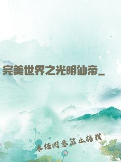 完美世界之光明仙帝