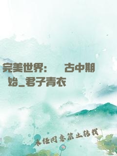 完美世界：從亂古中期開始
