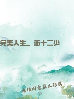 完美人生