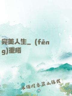 完美人生