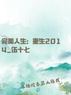 完美人生：重生2014