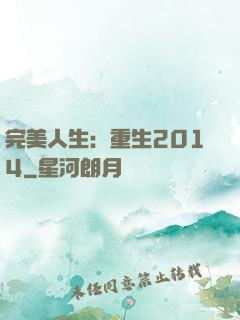 完美人生：重生2014
