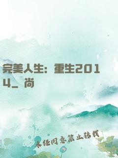 完美人生：重生2014