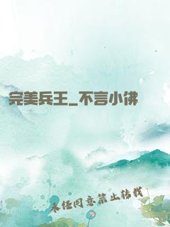 完美兵王