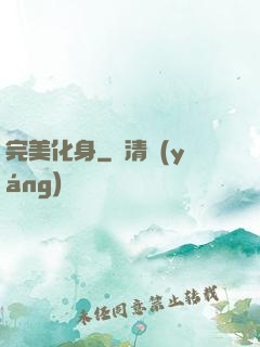 完美化身