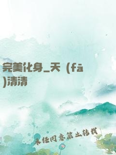 完美化身