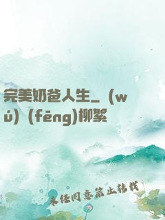 完美奶爸人生