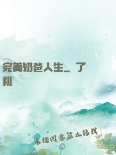 完美奶爸人生