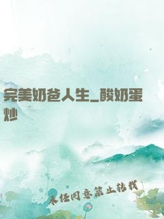 完美奶爸人生