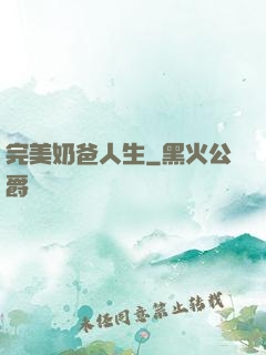 完美奶爸人生