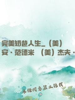完美奶爸人生