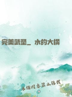 完美武圣