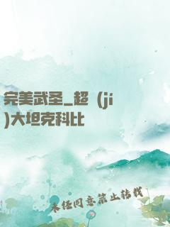 完美武圣