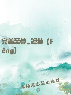 完美至尊