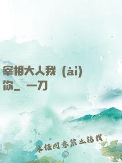 宰相大人我愛(ài)你