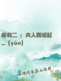 家有二寶：夫人要崛起